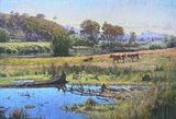 Goulburn River Country-Alexandra 20x27 SOLD